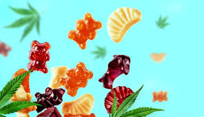 Canna Bee Organics Full Spectrum CBD Gummies - Stiftung Warentest - erfahrungen - bewertung - test
